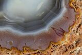 Colorful, Polished Agate Nodule - Kerrouchen, Morocco #187139-2
